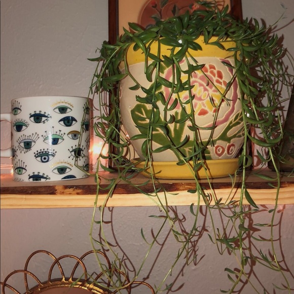 Meet your Posher, Ava - Picture 2 of 4